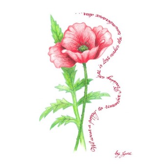 Gedenktag - Mohn