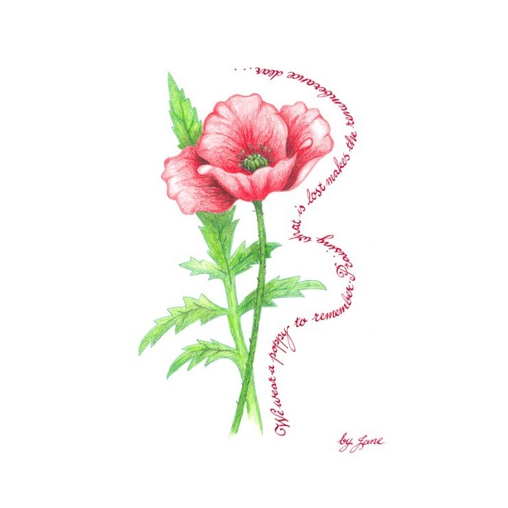 Jour du Souvenir - Coquelicot