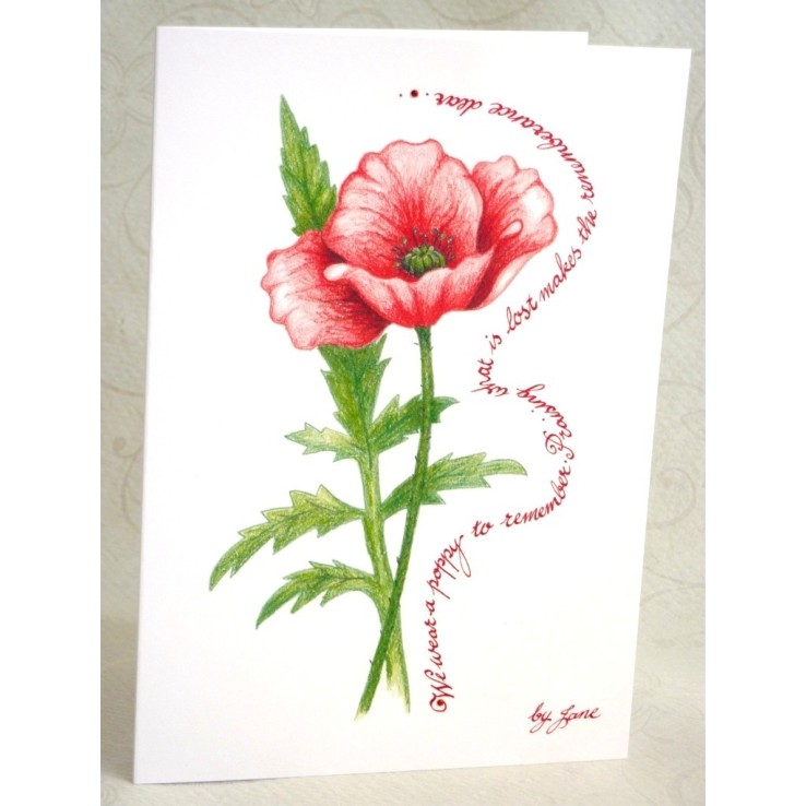 Jour du Souvenir - Coquelicot