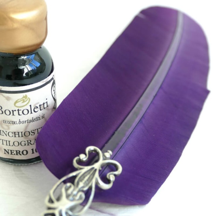 Pluma de pluma de ganso, dos puntas y tinta