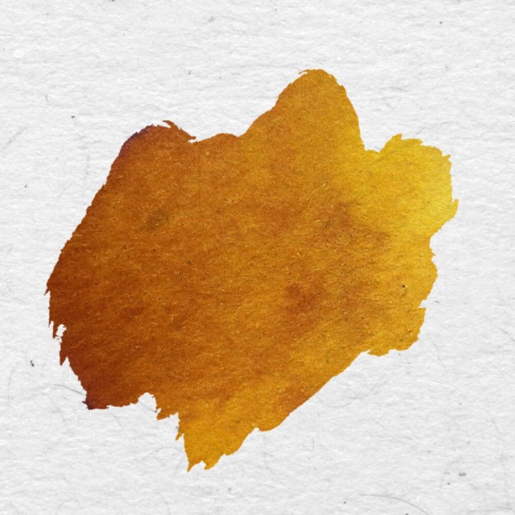 Købe Rav italiensk kalligrafi blæk - Hamburg Leonardo | Calligraphy