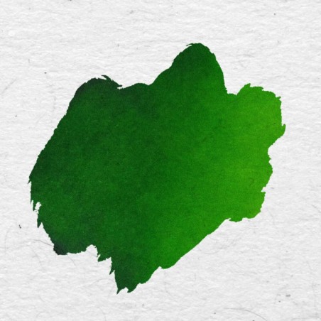 Acheter Encre de calligraphie italienne verte - Hamburg Vivaldi |