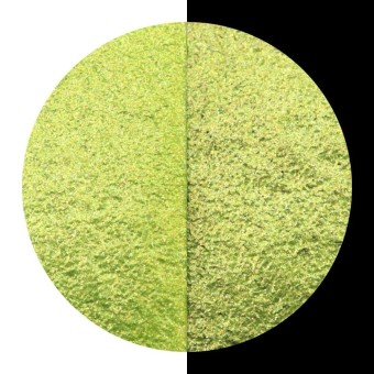Lime..- Coliro Refill Pearlcolor 2