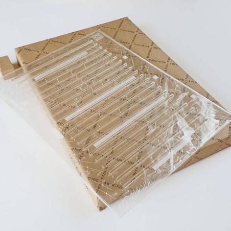 Modello di rivestimento A4 - PAScribe Paul Antonio